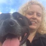 Profile Picture of Kim Donohue (@kim.donohue.125) on Instagram
