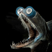 Profile Picture of Michael Piscopo (@michaelpiscopo3124) on Youtube