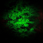 Profile Picture of Michael Cobb (@mrbrightside80) on Flickr