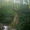 Profile Picture of ianwendt268 (@@ianwendt268) on Tiktok