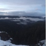 Profile Picture of Steve Vick (@dvick89503) on Instagram