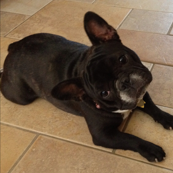 Profile Picture of Raquel Cuaron (@raquis) on Poshmark