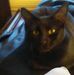Profile Picture of Scott Staggs (@scott.staggs.581) on Facebook