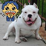 Profile Picture of Jose Luyando (@dukeboy1110) on Instagram