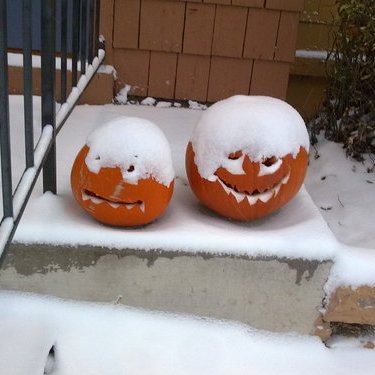 Profile Picture of Matt Holsclaw (@TARDIS_driver) on Twitter