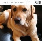 Antje Westhoff - Facebook Profile Picture of Antje Westhoff (@Antje-Westhoff) on Facebook