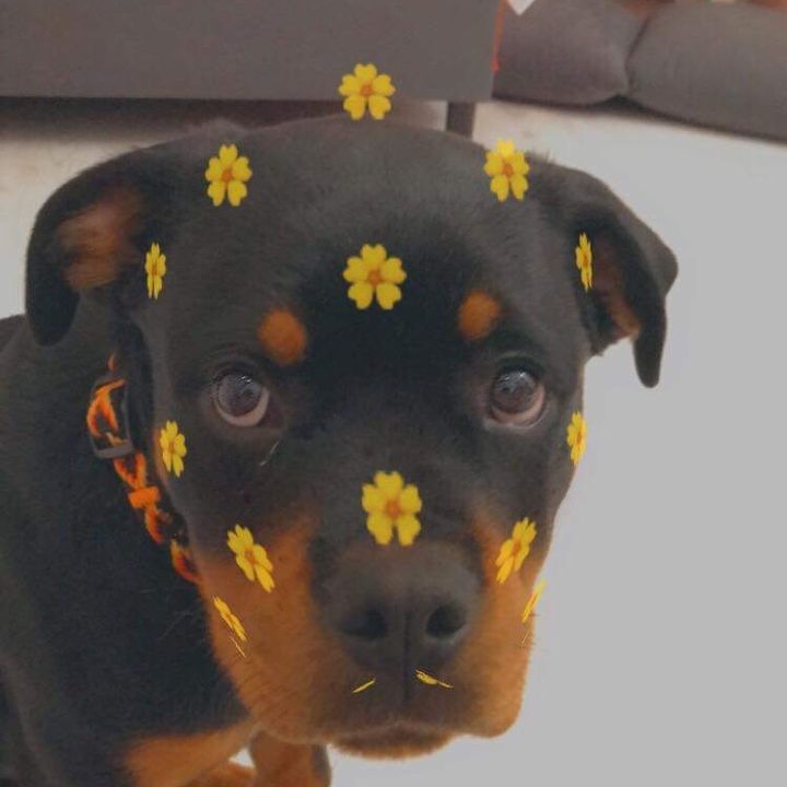 Profile Picture of Lori_Rotka (@lori_2115) on Tiktok