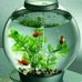Profile Picture of Jaffar Chand (@jaffar.chand.75) on Facebook