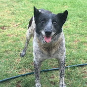 Profile Picture of Tyson Duncan (@tysonduncan9725) on Youtube