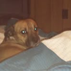 Profile Picture of Krystal Lowery (@Krystal-Lowery) on Facebook