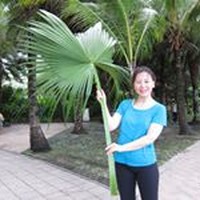 Profile Picture of Xue Li (@xue-li-84) on Quora