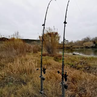 Profile Picture of Howard Owings (@howardowings) on Instagram