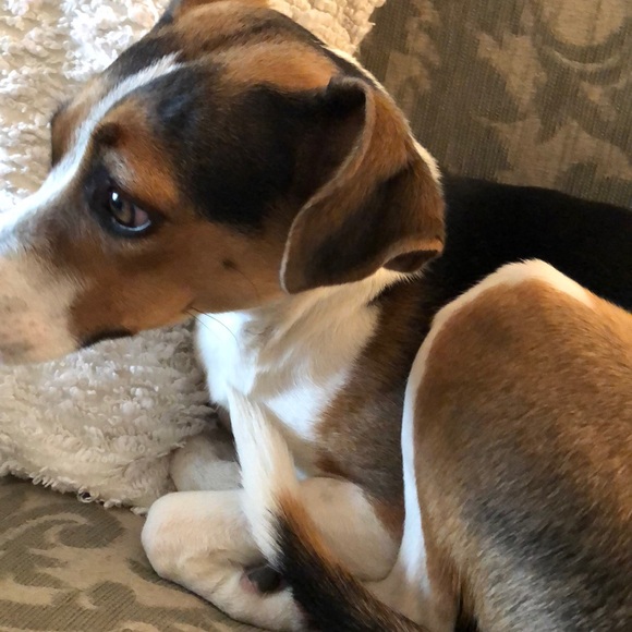 Profile Picture of Ruth Adams (@ruthlpa) on Poshmark