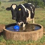 Profile Picture of Brian Rathborne (@brianrathborne) on Instagram
