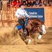 Profile Picture of Lorenzo De Simone (@lorenzo.desimone.3) on Facebook