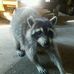 Profile Picture of Larry Meier (@larry.meier.355) on Facebook