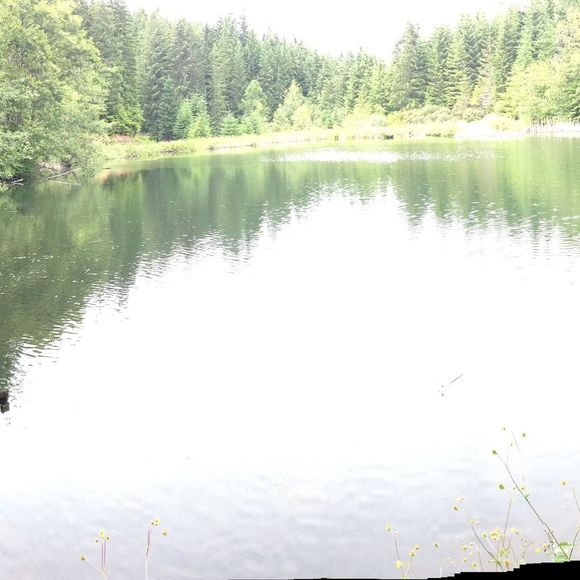 Profile Picture of Jamie Vanassche (@jamievanassche) on Poshmark