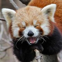 Profile Picture of Katja Rutnik (@katja-rutnik) on Quora
