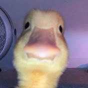 Profile Picture of Colton Casey JR. (@Mr_Man_hehe) on Youtube