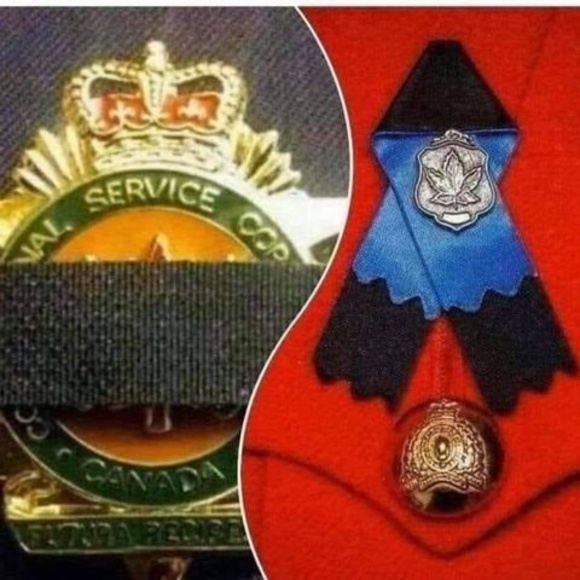 Profile Picture of Chris Rousselle (@chrisrousselle) on Poshmark