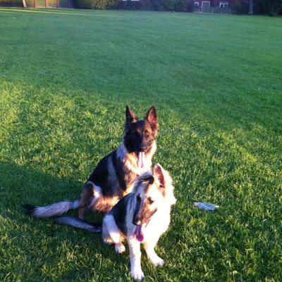 Profile Picture of Beverley Stevenson (@bstevenson1969) on Twitter