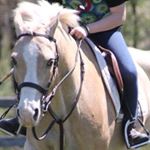 Profile Picture of Grace Dietrich (@gracie__ponys) on Instagram