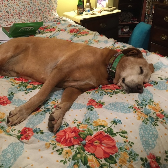 Profile Picture of Cathy Stevenson (@finkley19610) on Poshmark