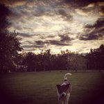 Profile Picture of John Lavender (@zaphipapril) on Instagram