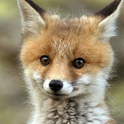 Profile Picture of Ariel Bryan (@greedycapitalist447) on Youtube