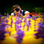 Profile Picture of Tammy Hale Photography (@tammy hale photography) on Flickr