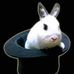 Profile Picture of Dan Schimpf (@dan.schimpf.7) on Facebook