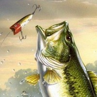 Profile Picture of Alex Labeau (@alex-labeau) on Quora