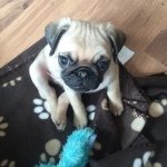 Profile Picture of Samantha Giles (@sammyanngiles) on Instagram