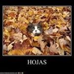 Profile Picture of Lucila Sylvia Rubio Ritchie (@lucilasylviarubio) on Instagram