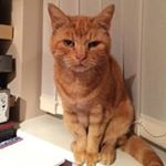 Profile Picture of Keith Paget (@keithpaget) on Instagram