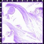 Profile Picture of Lisa Macchio (@macchiolisa) on Instagram