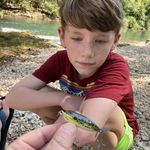 Profile Picture of Todd Bevington (@bevinta) on Instagram