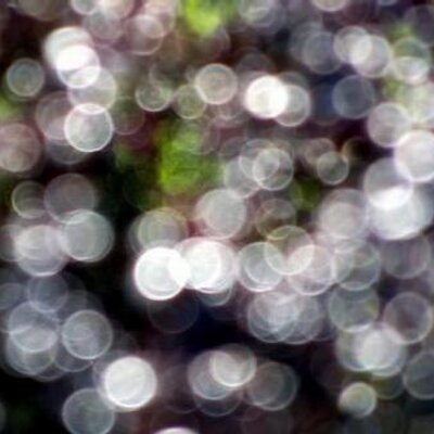 Profile Picture of Lea Blume (@Leaa_Chen) on Twitter