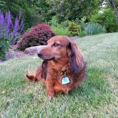 Profile Picture of Chris Dilts (@dilts_chris) on Twitter