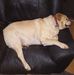 Profile Picture of Alan Hickson (@alan.hickson.12) on Facebook