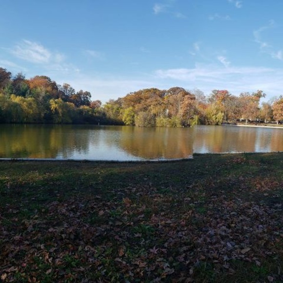 Profile Picture of Rosita Neira (@rosanbernardo) on Poshmark