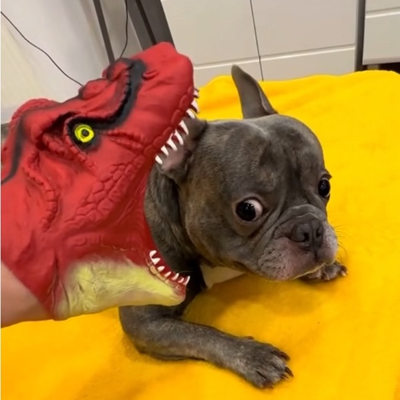 Profile Picture of Keanthony Barefield (@keanthonyb) on Poshmark