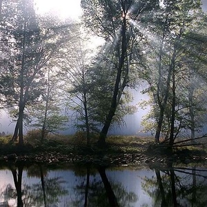 Profile Picture of Jo Ann Reilly (@celticcolleen) on Myspace