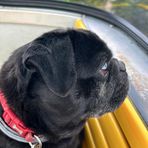 Profile Picture of Alison Craven (@Alison-Craven) on Facebook