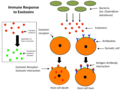 Profile Picture of Exotoxin - Wikipediaon Wikipedia