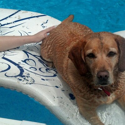 Profile Picture of Mark Berardi (@markberardi) on Twitter