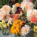 Profile Picture of Olivia Calvert Burgess (@nativeflowerfarm) on Instagram
