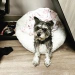 Profile Picture of Charles Reese Pamela (@reesepam01) on Instagram