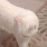 Profile Picture of Andrew Wixson (@andrew_wixson) on Instagram