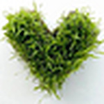 Profile Picture of Angeline_lhy (@angeline_lhy) on Flickr